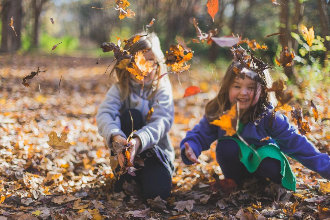 Herfstkriebels door het Kids2Fun herfstboek